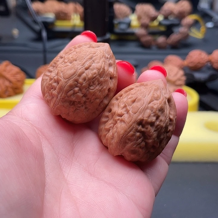 全品无修平谷舍利36/32/29