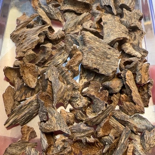 沉香摆件海南野生鸡母虫10克