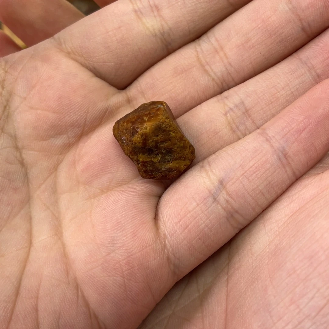 定制琥珀未镶嵌五**虫天然琥珀