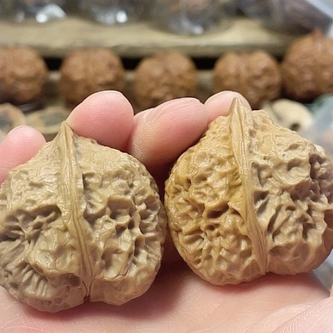 文玩核桃把件神木王鼎带彩磕尖40