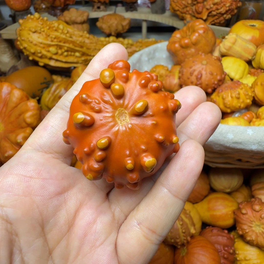 在***.特价葫芦不退不换