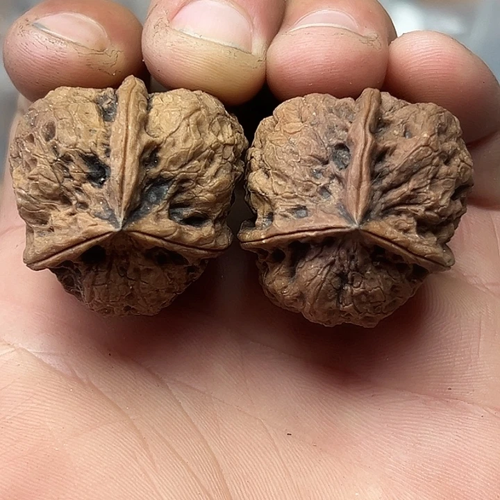 把件文玩核桃46号曼巴三楞33尺