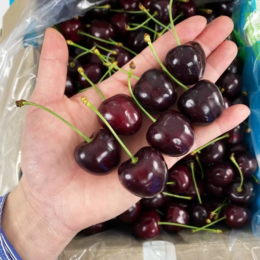 【顺丰次日达】科迪亚智利进口JD车厘子新鲜爆汁车厘子2斤试吃装