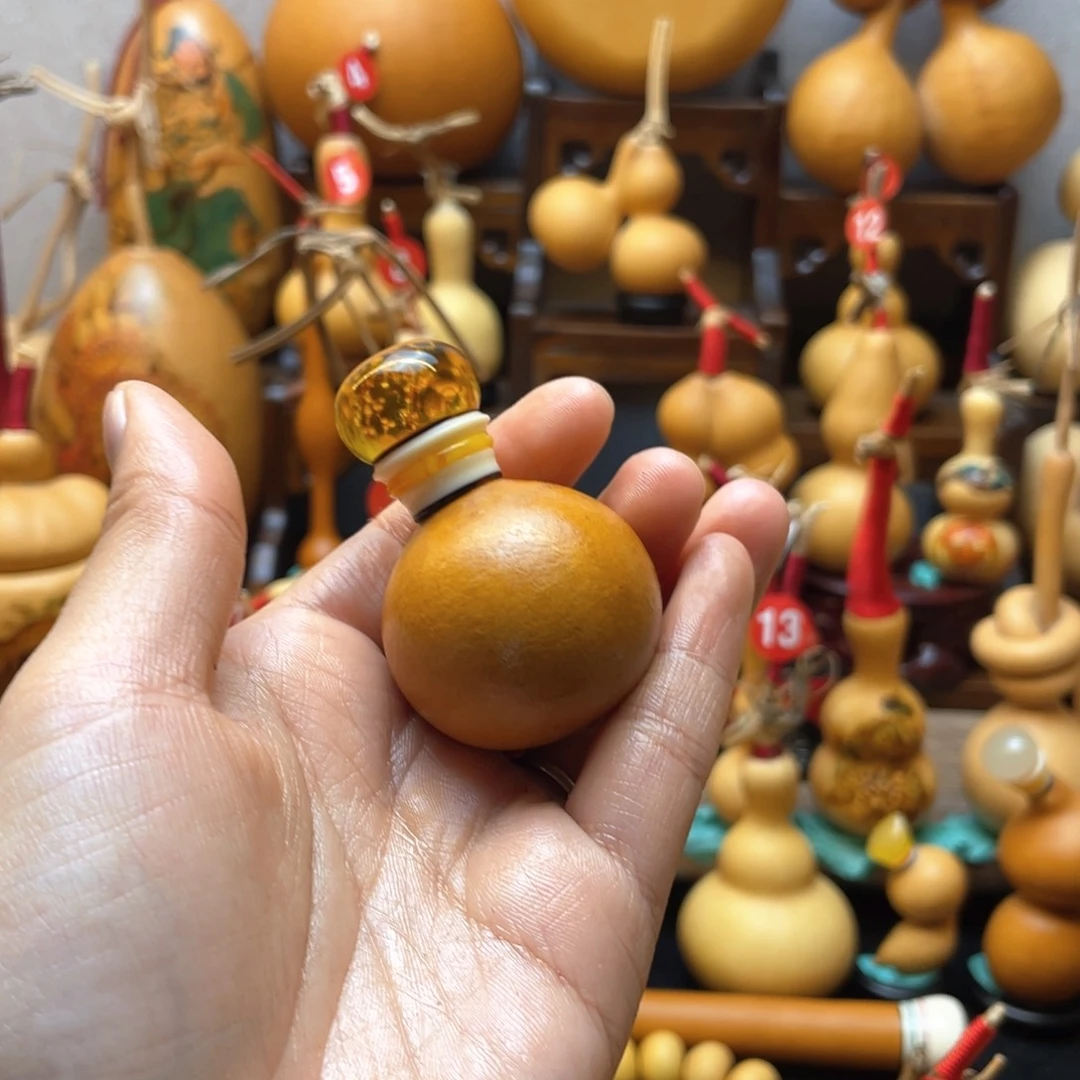 逐*大自然的秘密第十章我的秘密