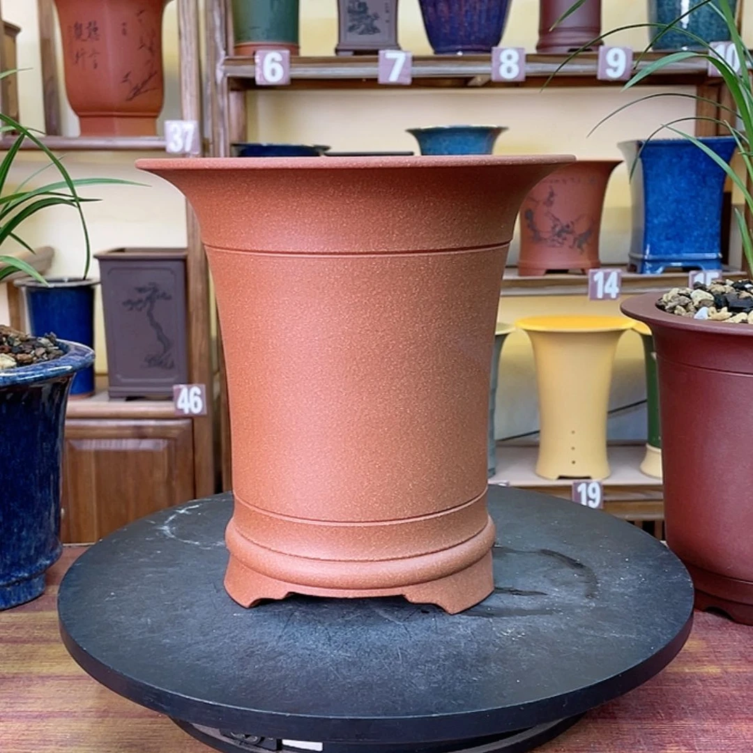 【闪购商品】紫砂花盆2****3兰花643464548844646646