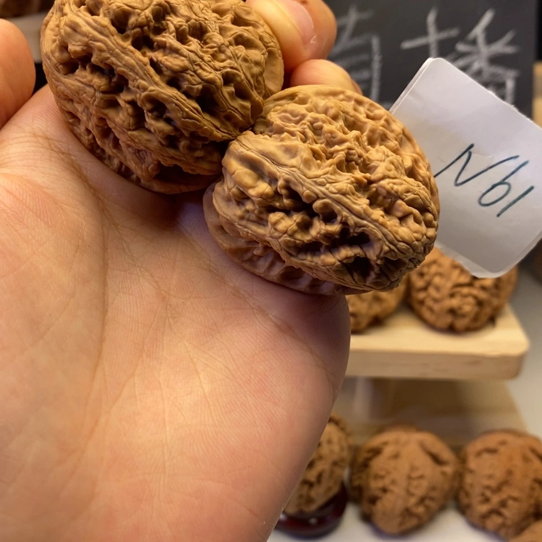 N61将军膀40+白茬无修