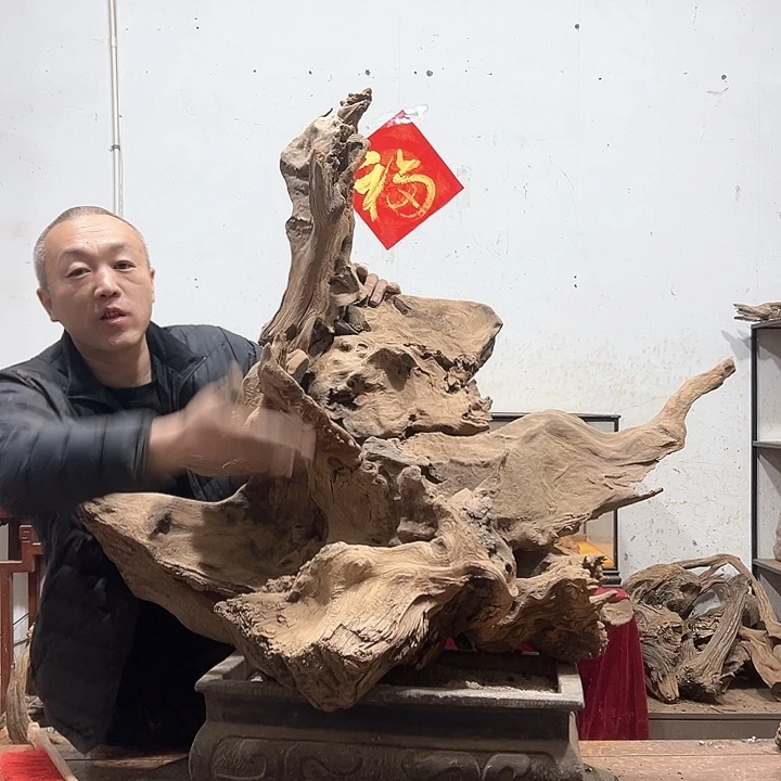 柏木杨**e我们的生活也是如此的