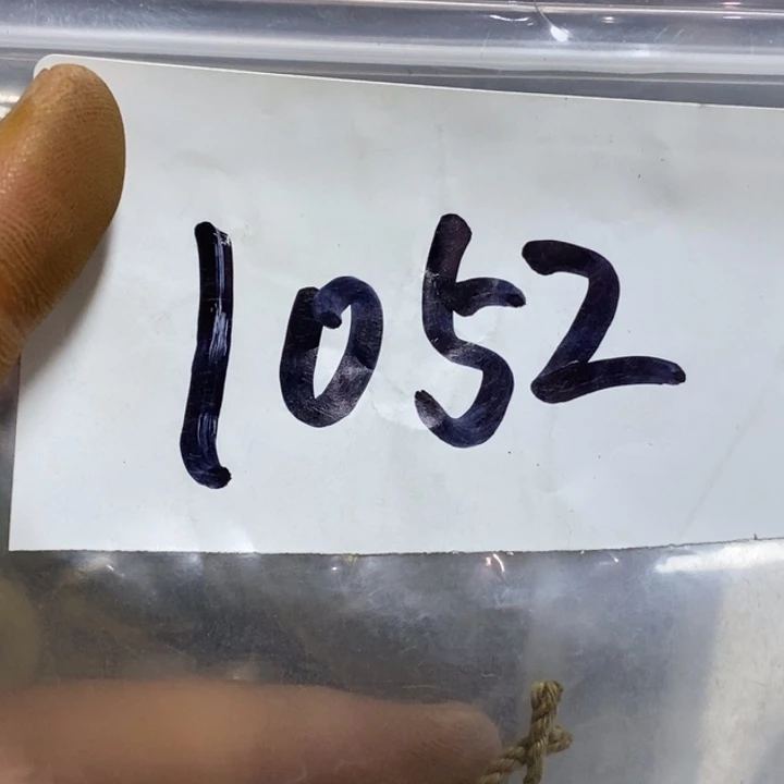 天***边五六七文玩专属连接