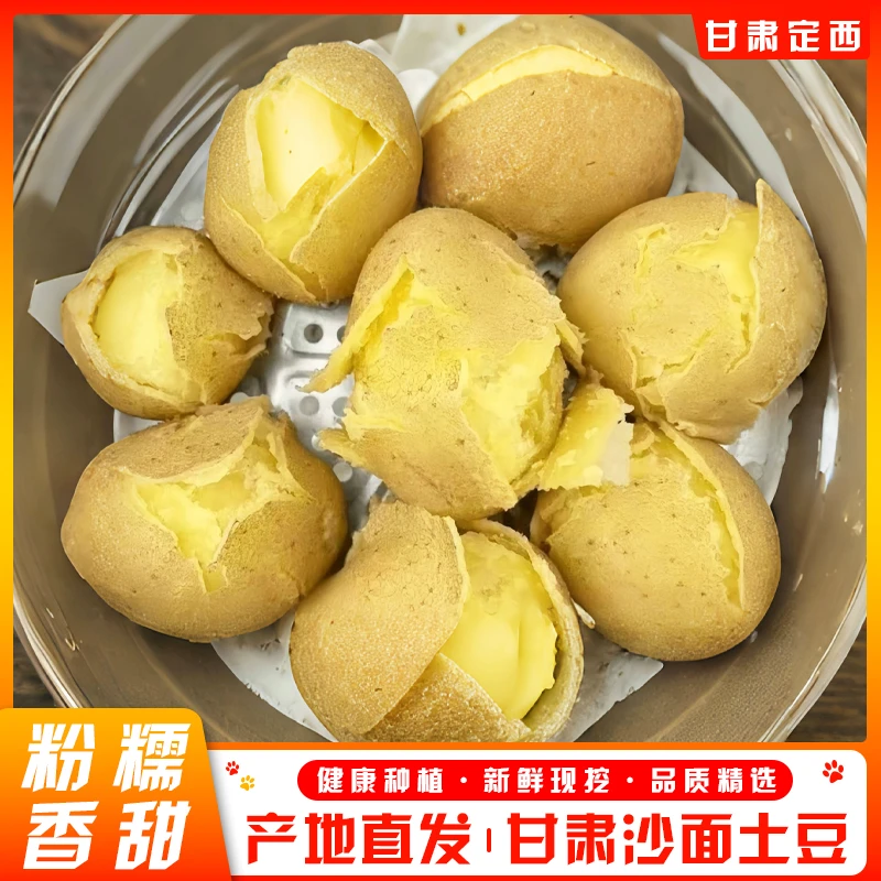 甘肃定西黄皮黄心沙面土豆新鲜现挖可蒸煮炒菜炖肉