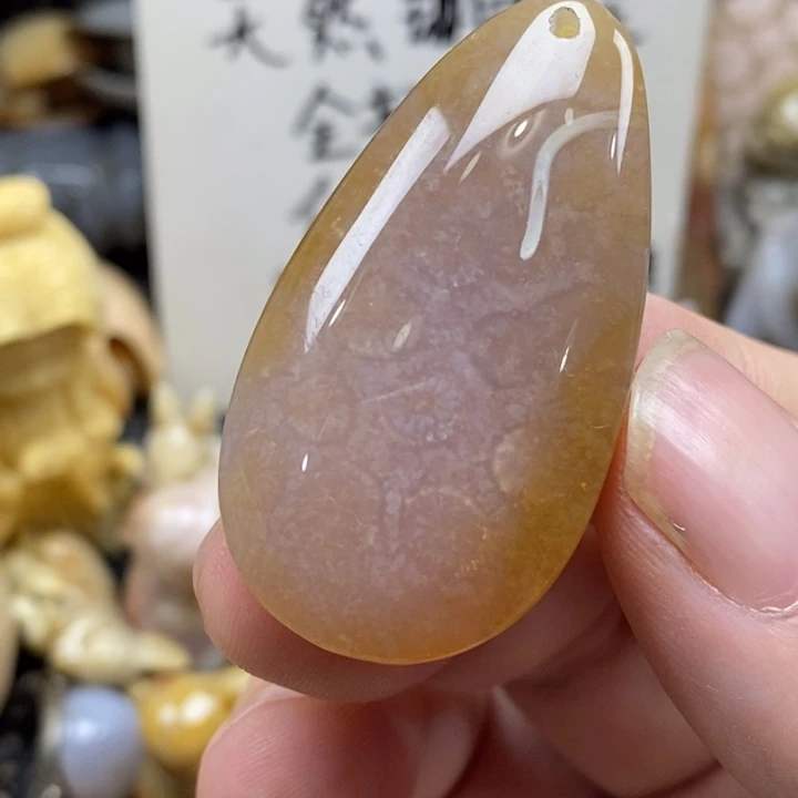 硅化珊瑚（珊瑚玉）未镶嵌颈饰