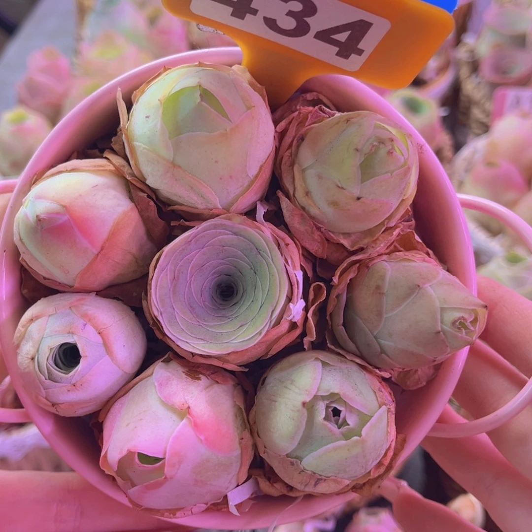 花篮一物一拍福利434