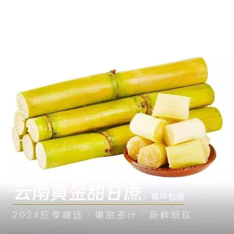 【a真空塑封包装保鲜】云南甘蔗脆甜多汁现砍新鲜水果应季上市