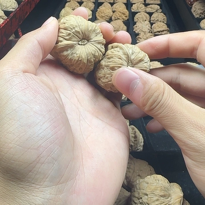知***.龙脊菩提吊坠啊啊啊啊啊南瓜8