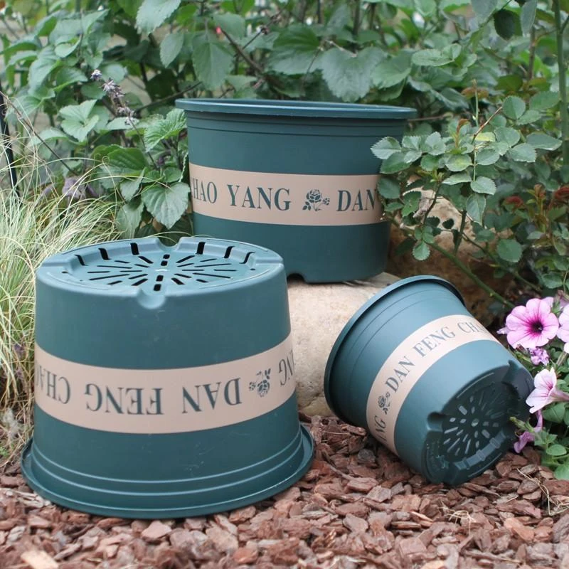 10个150矮胖三代控根1加仑花盆《口径15高11》