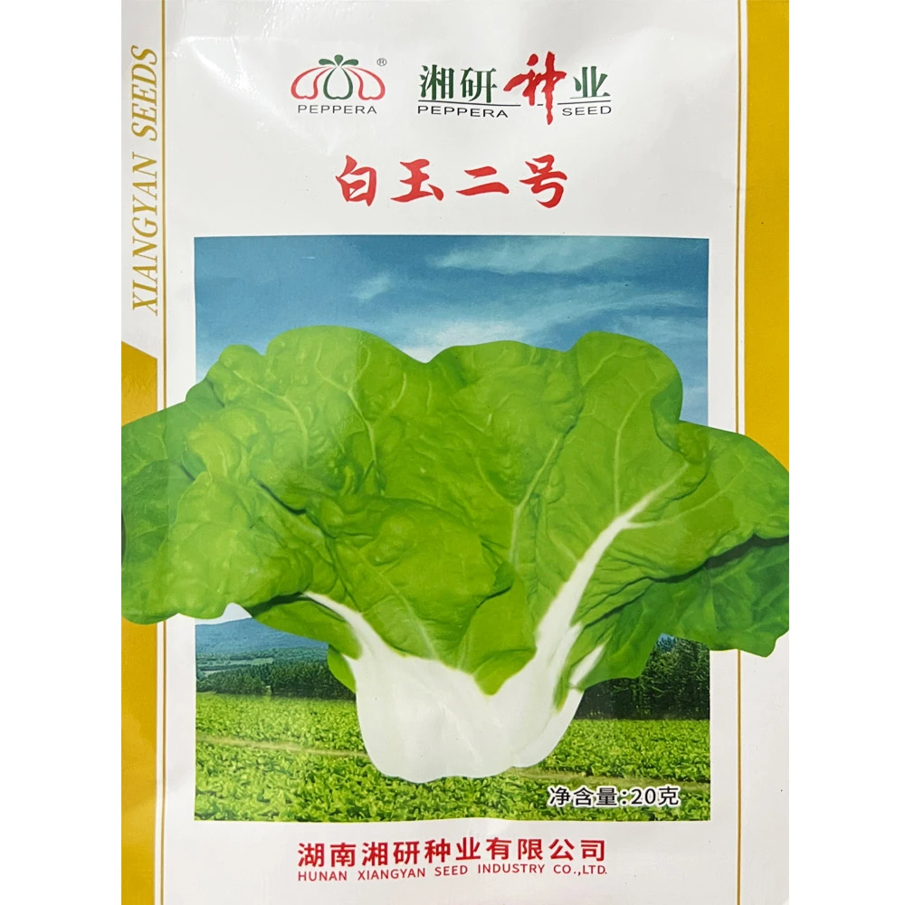 湘研白玉二号小白菜种子 矮脚白菜种子 四季白菜白梗白帮白菜种子