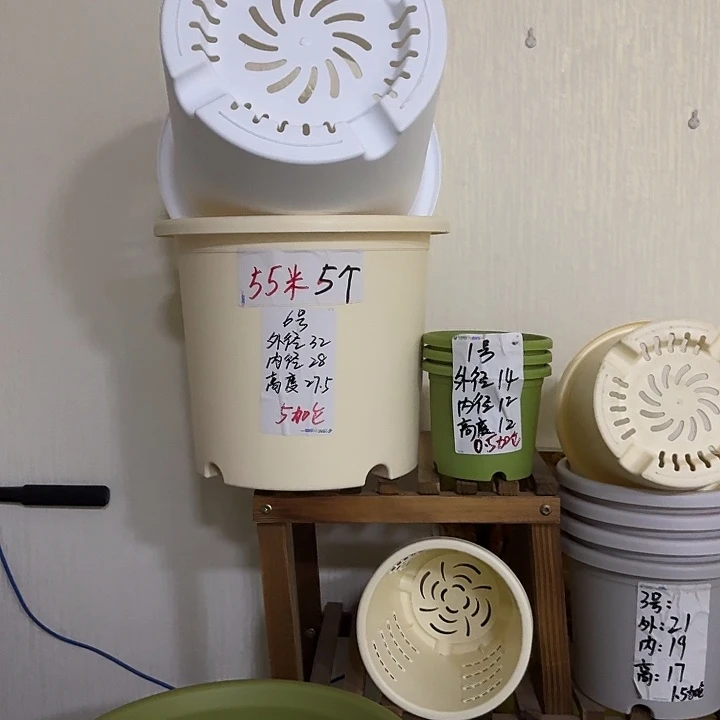 米黄色6号口径32高27无托7个