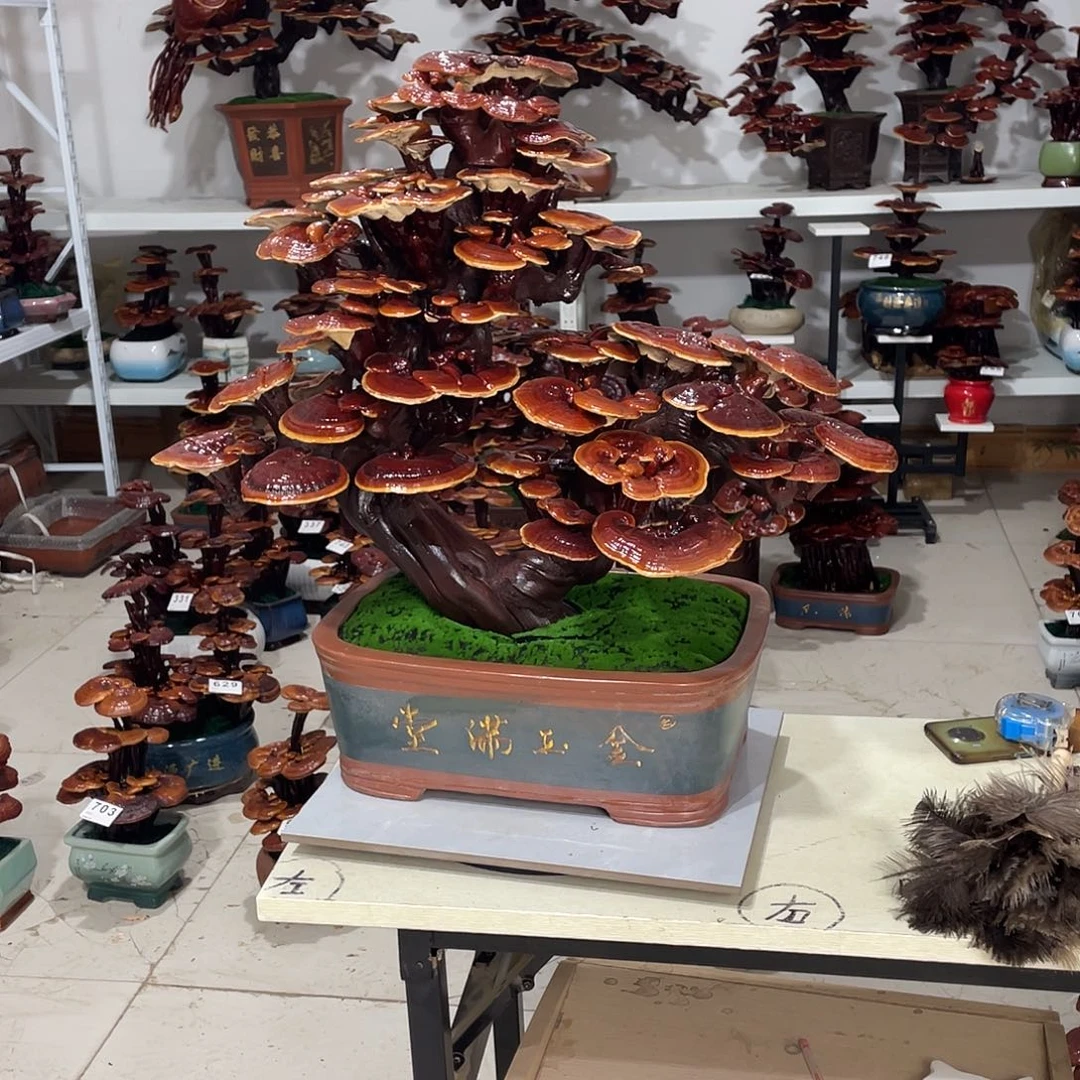 无花朵8888888888888