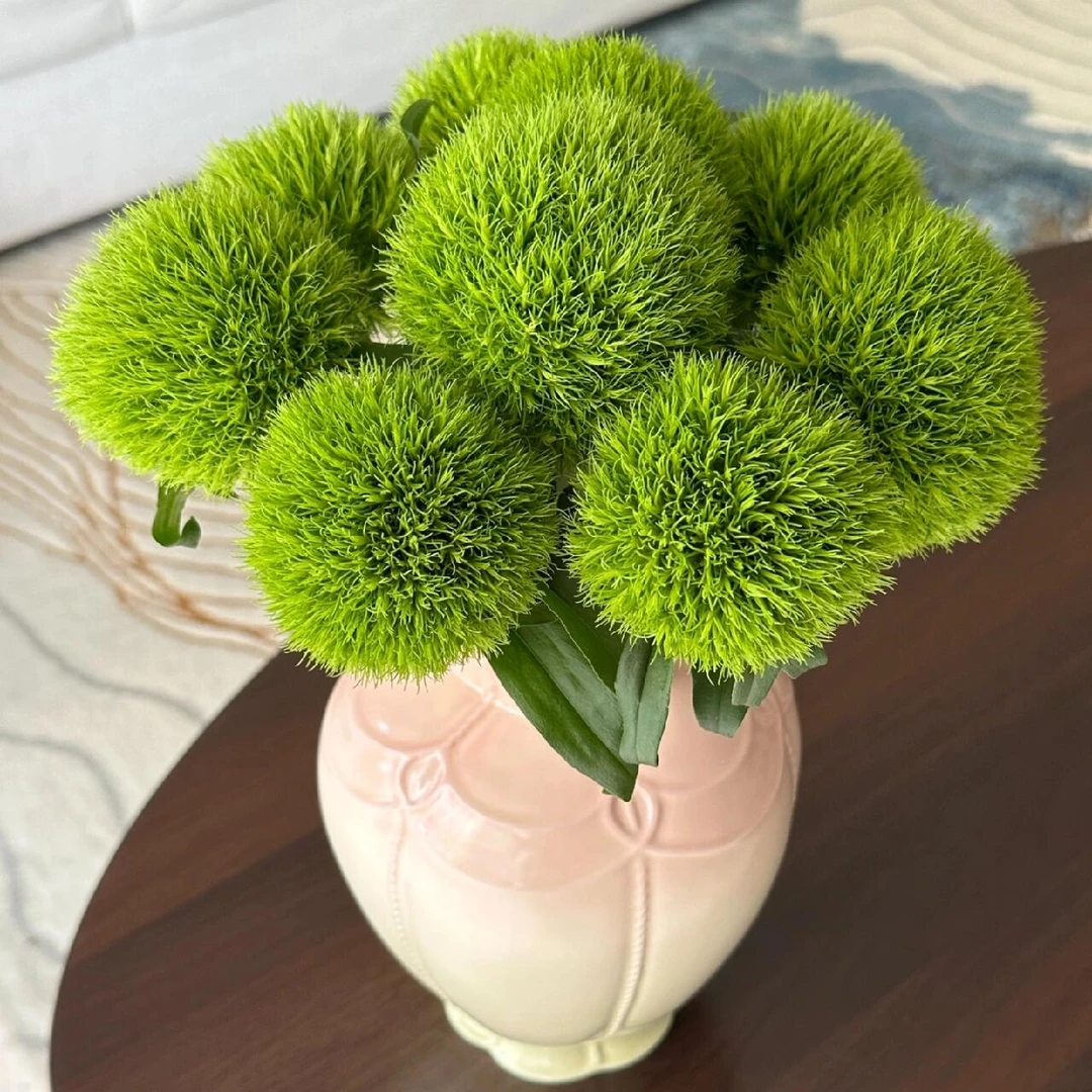 绿毛球  5支 贵港两小时内送达