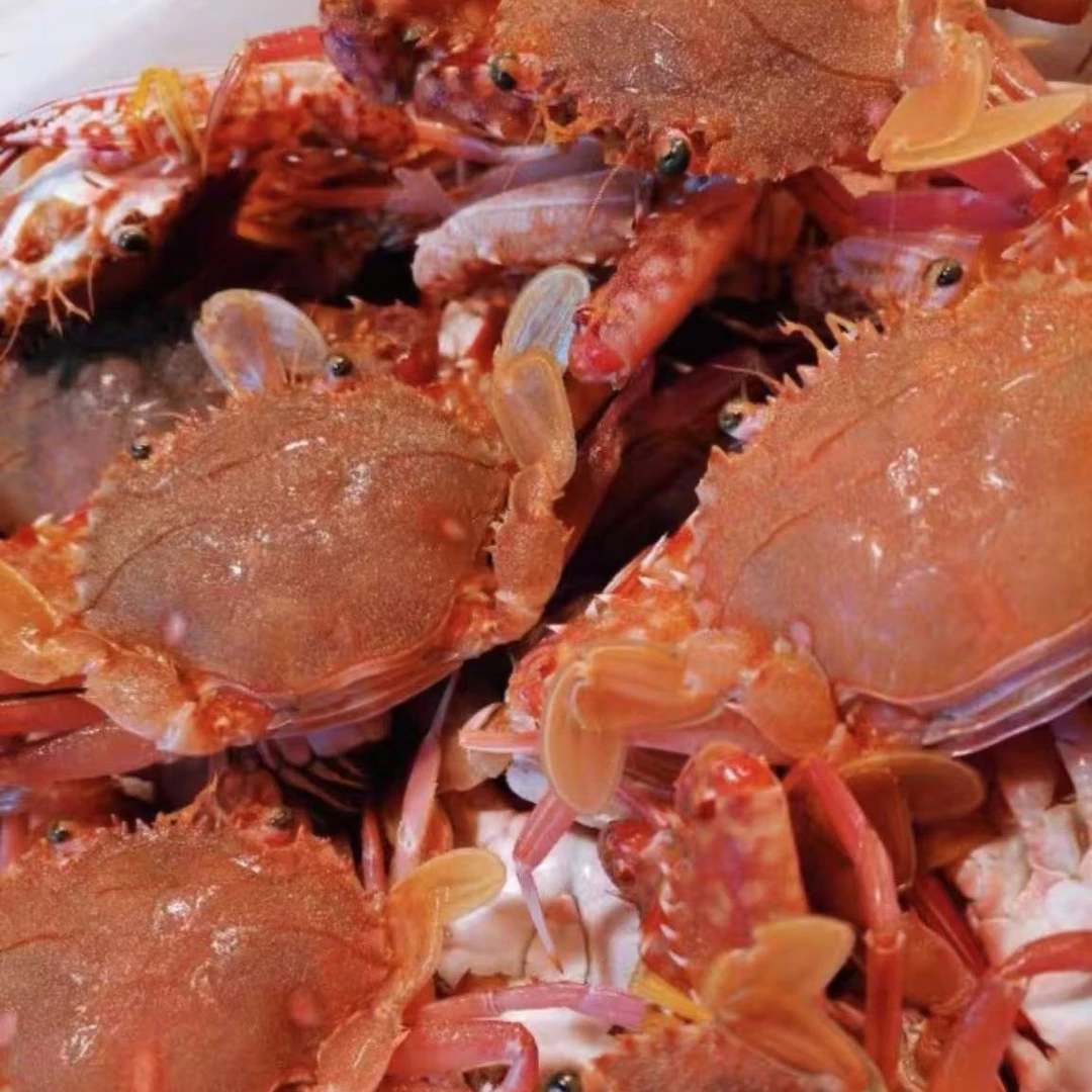 红毛丹(红色石头蟹)3斤1斤4-6只蟹同城配送海鲜