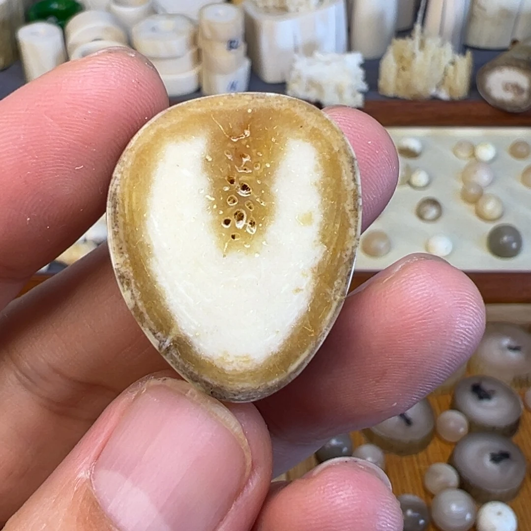 逸***越树脂制品海胖老弟切片