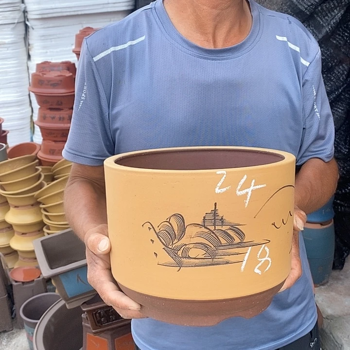 紫砂花盆盆栽植物种植