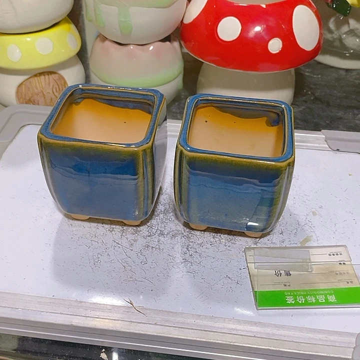 摆件多肉瑕疵盆有孔。