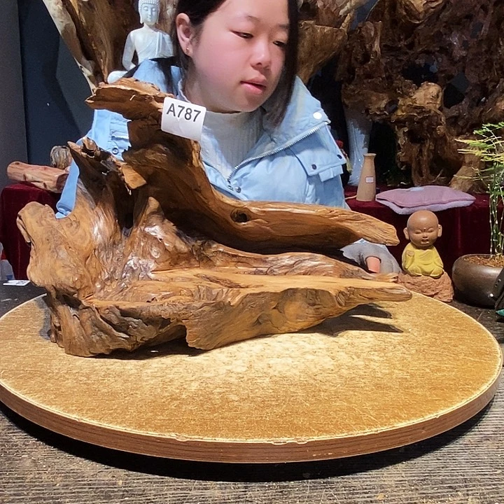 洛****）787株木底座随行根艺