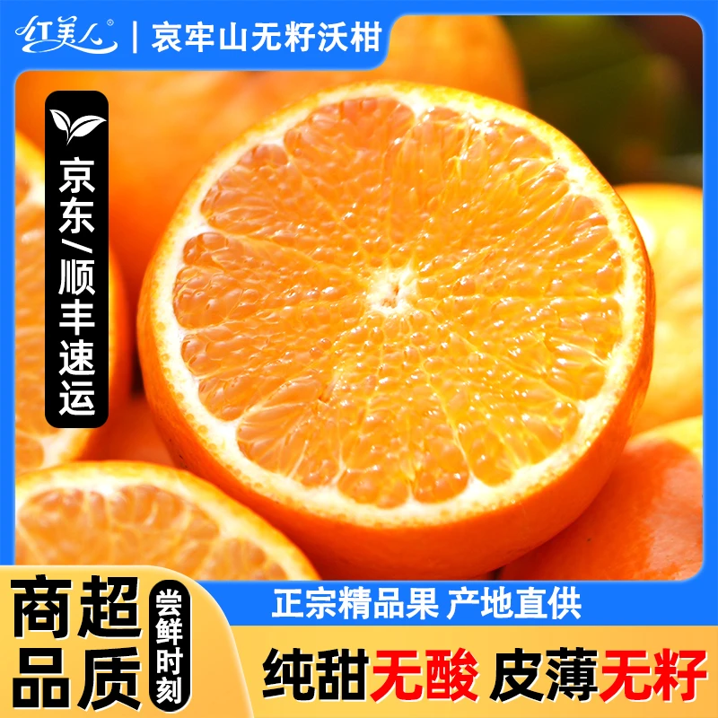 云南哀牢山无籽沃柑 新鲜应季水果柑橘纯甜无酸皮薄多汁精品果