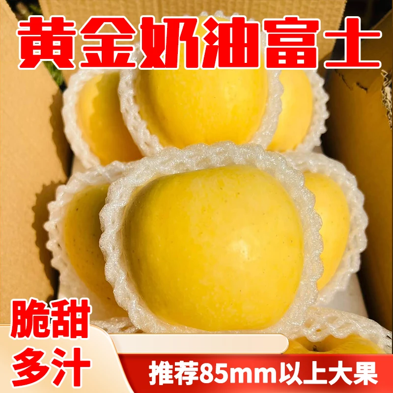 【十斤大果新鲜脆甜】头茬正宗山东奶油苹果更脆甜多汁净重5/9斤T