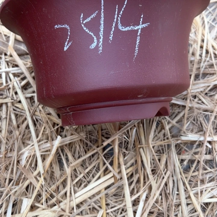 紫砂碗盆碗盆碗盆紫砂