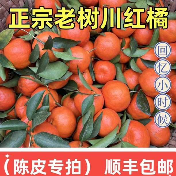 老树川红橘 8斤净重 做陈皮专拍 顺丰包邮 无药有斑