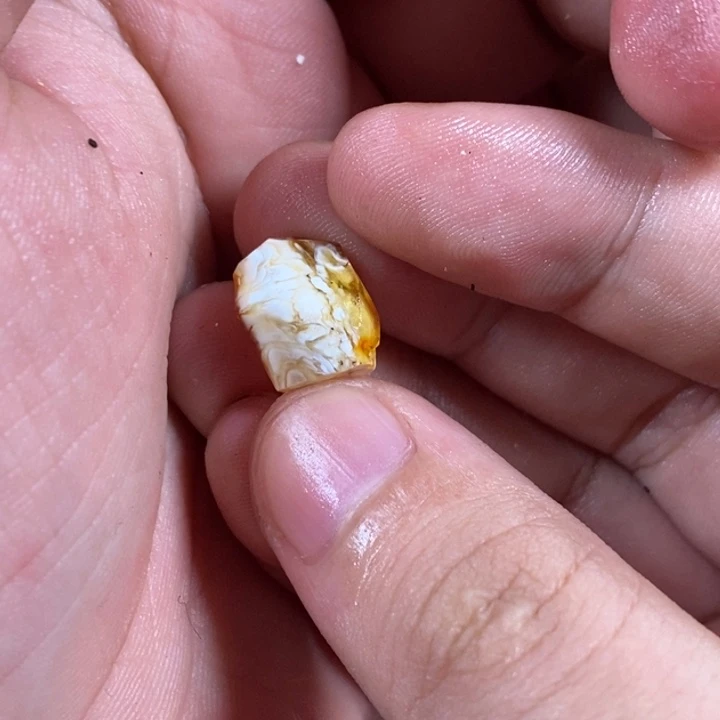 未镶嵌定制琥珀k****h琥珀蜜蜡原石定制