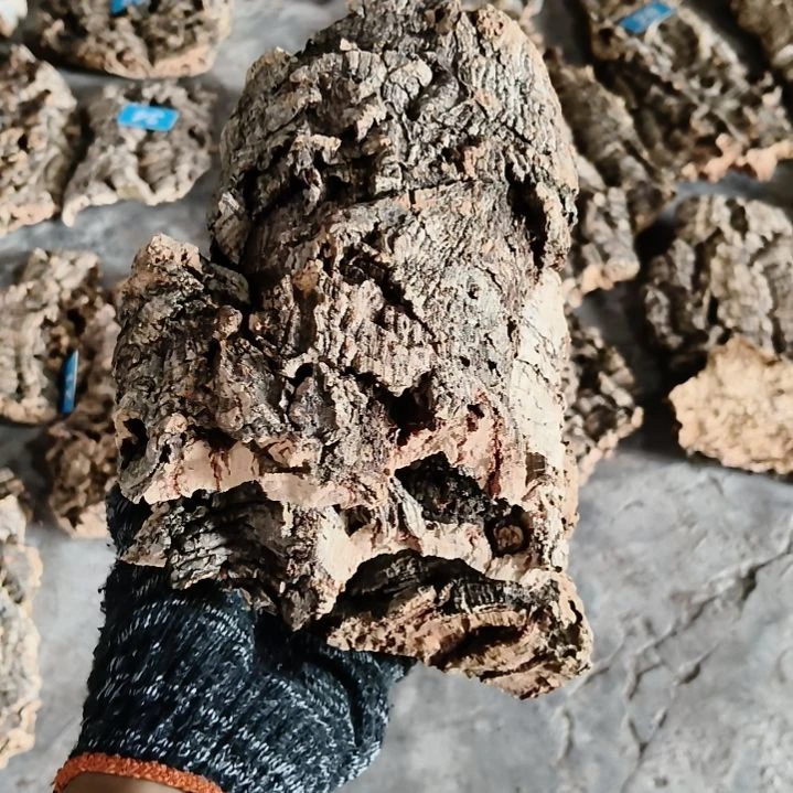 顺顺利利,平平安安