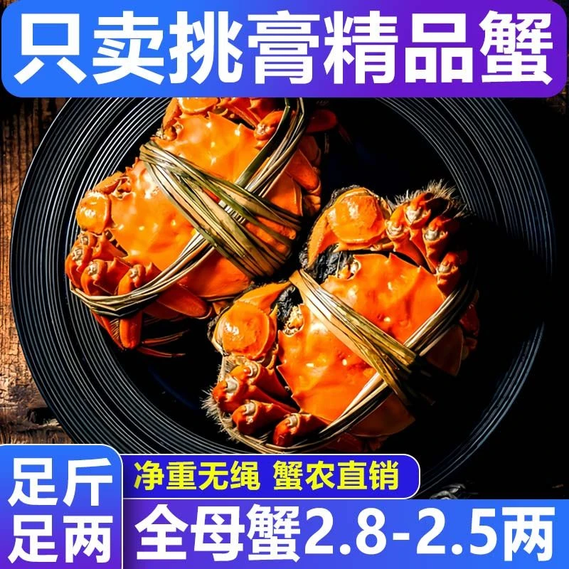 【活蟹】全母大闸蟹2.8-2.5两 6/8/10只螃蟹鲜活 去绳净重 礼盒顺丰