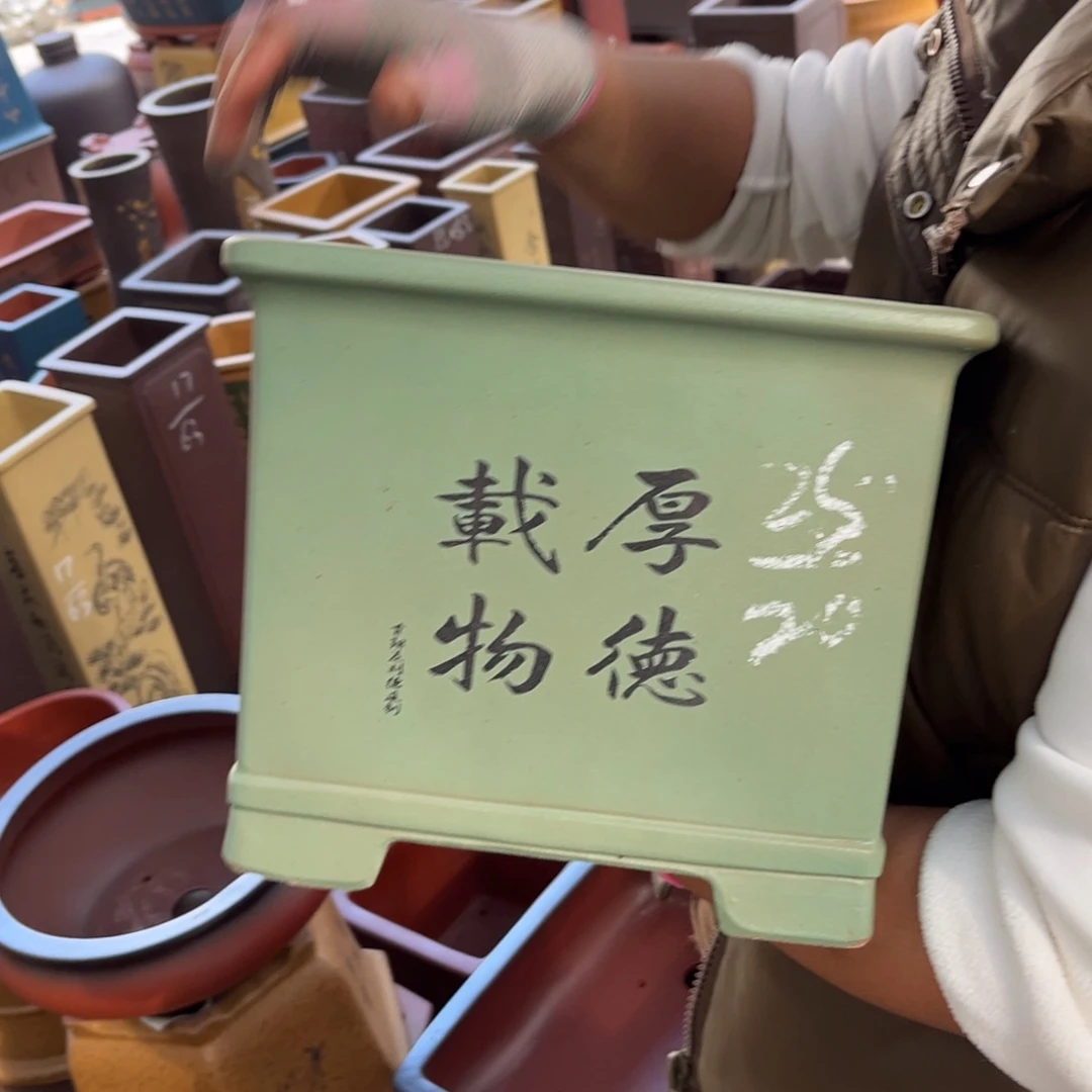 花盆紫砂盆景艺术