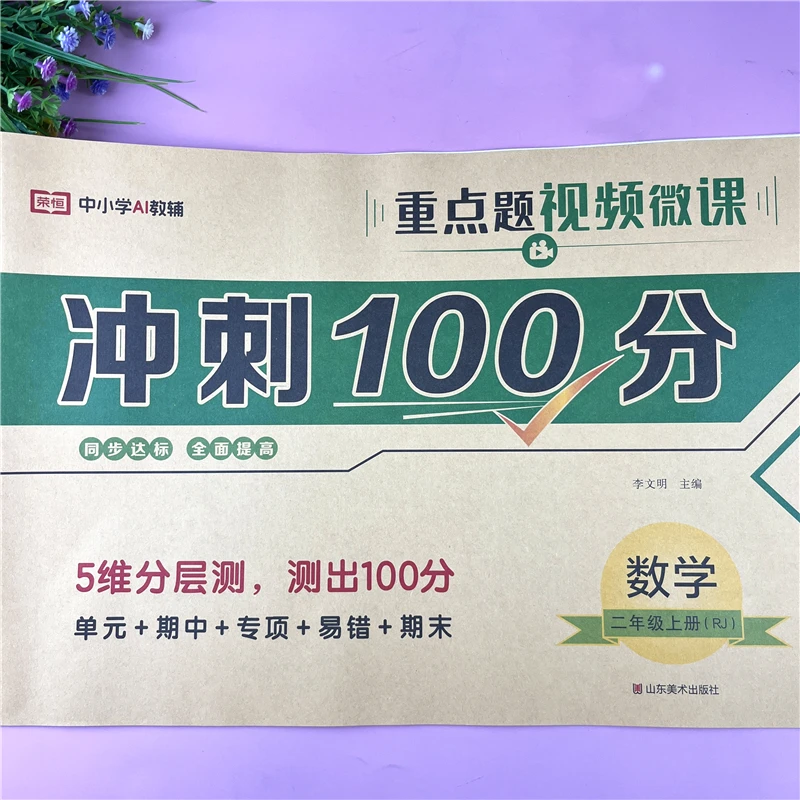 新版二年级上册冲刺100分试卷RJ版二年级同步试卷单元期中期末卷