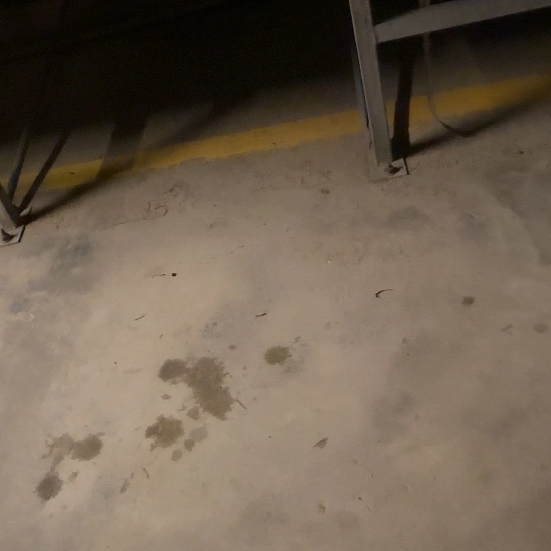 V***y无花朵专拍存米链接