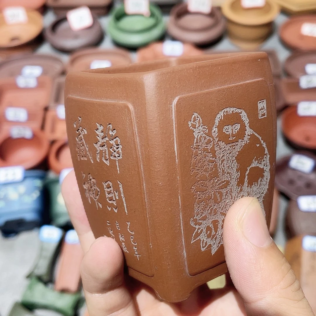 人***闲紫砂小盆5*7cmmmmm