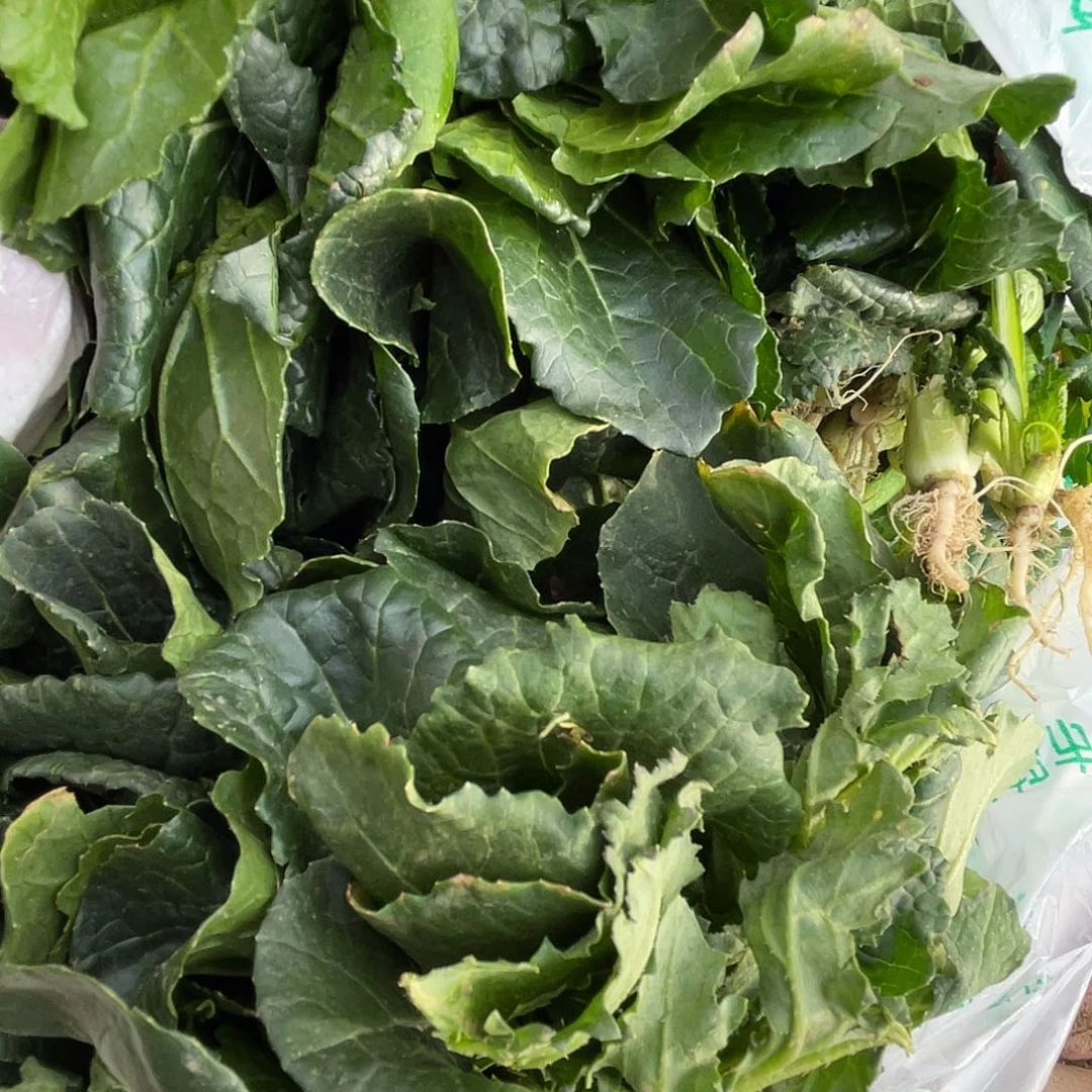 中国大陆三斤半小黑菜