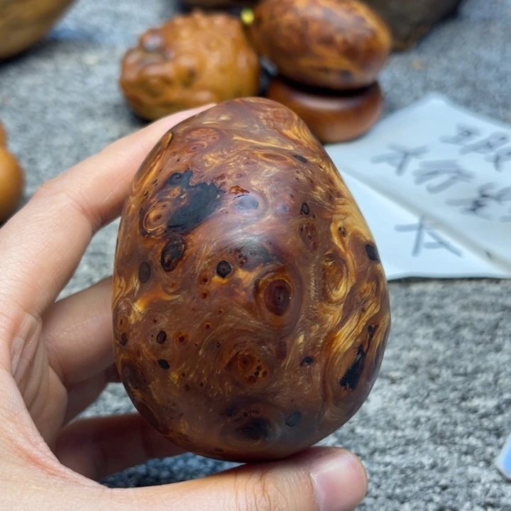 柏木（崖柏）崖柏98