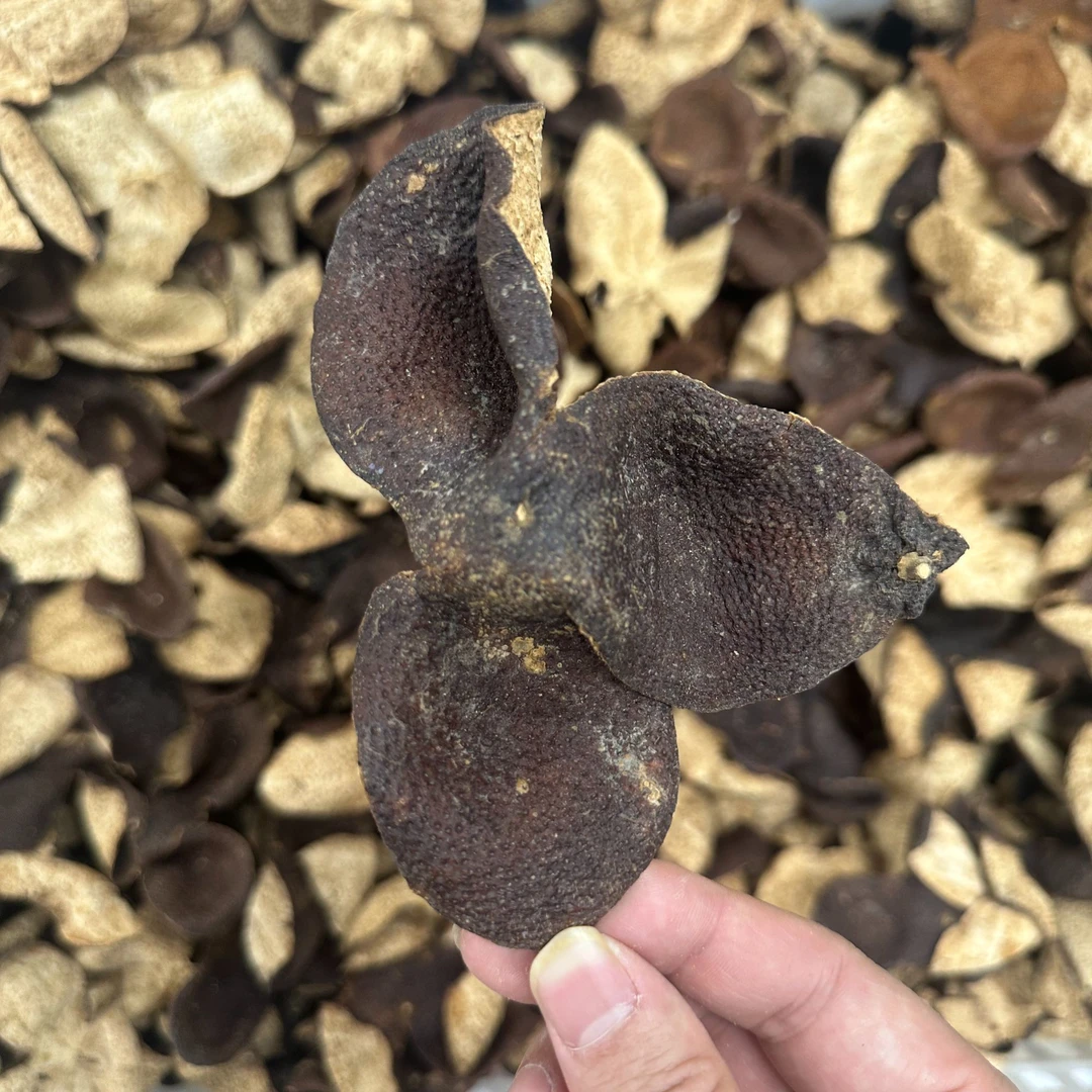 【新手进阶必拍推荐①】2018年礼乐大红 正宗新会陈皮