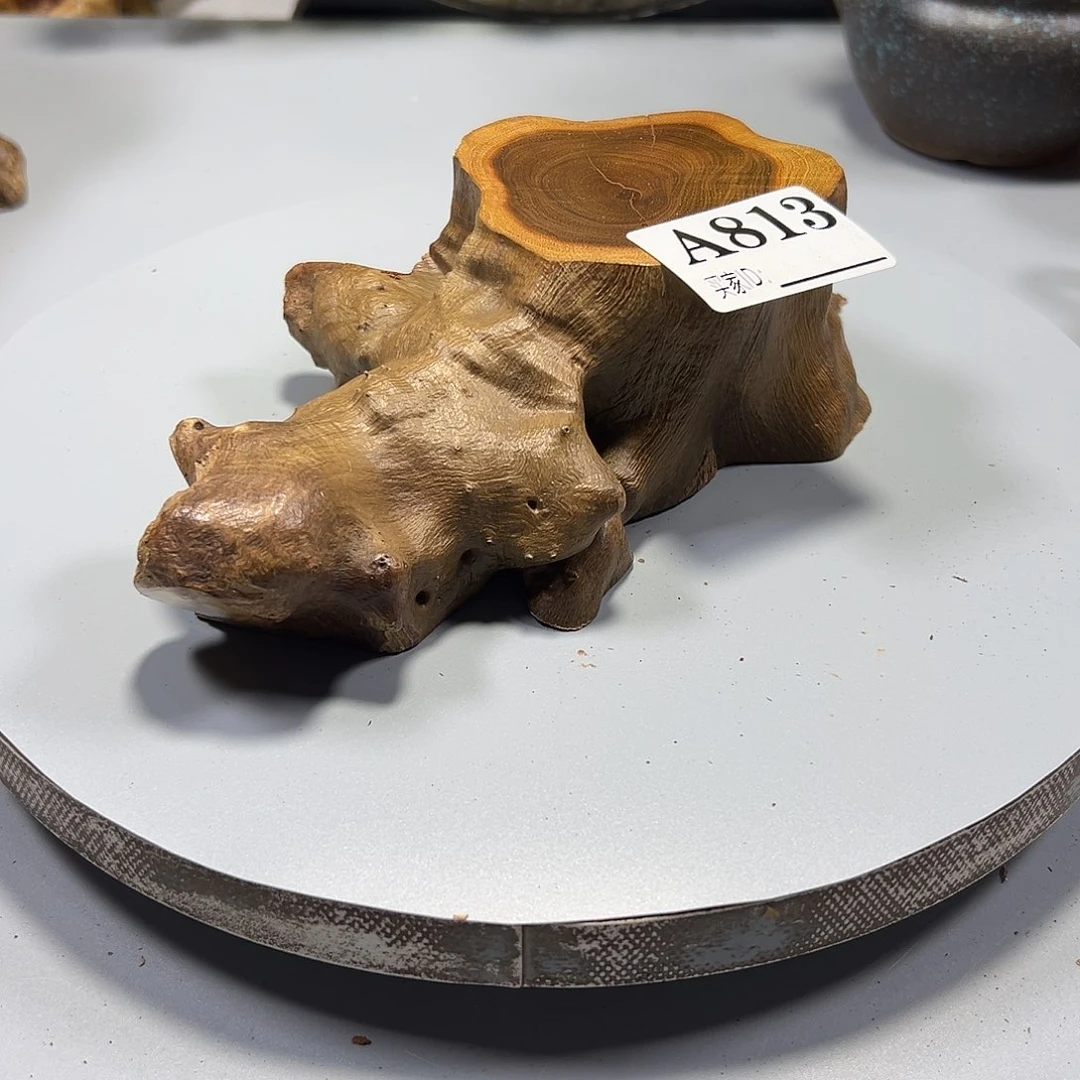 大果紫檀（缅甸花梨）8*