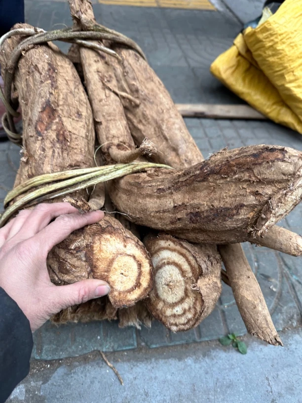 广西葛根 野生红葛根 葛根藤500g包邮