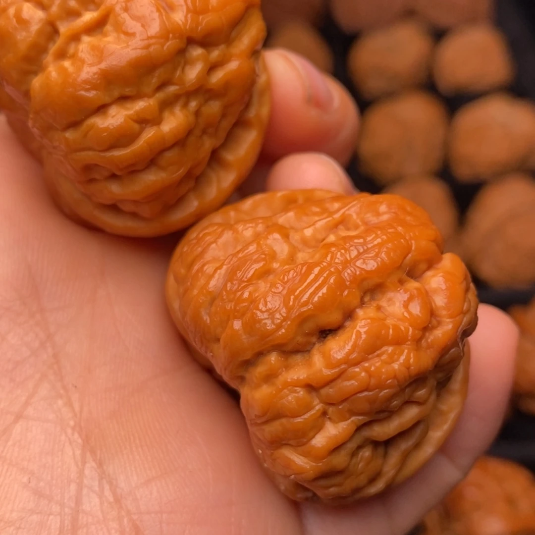 文玩核桃把件秦岭野生核桃