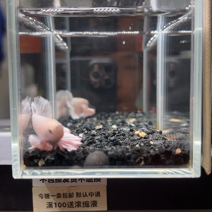 斗鱼竞拍跑单拉黑27日84