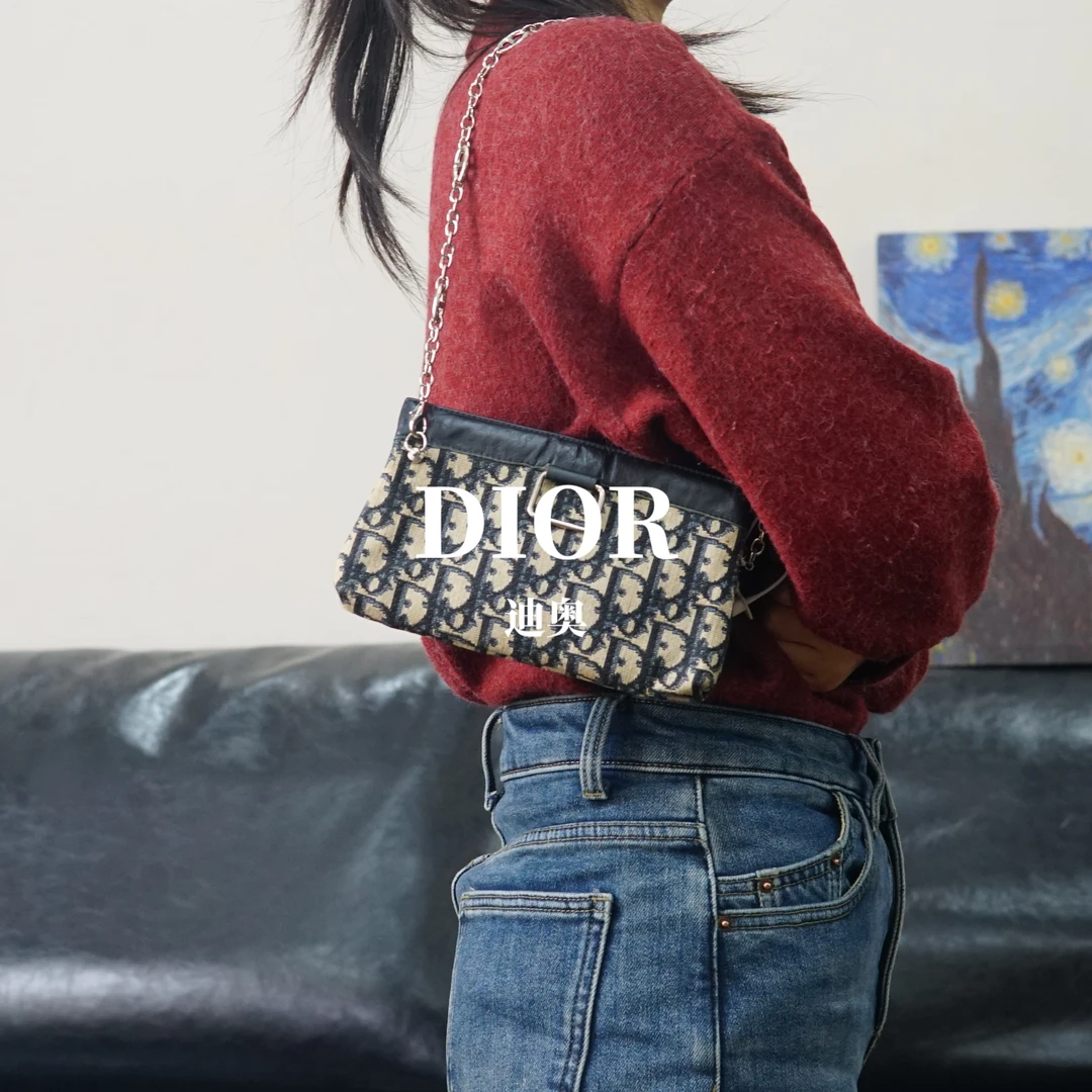 95新 DIOR/迪奥 老花单肩包/HD01806012/6012