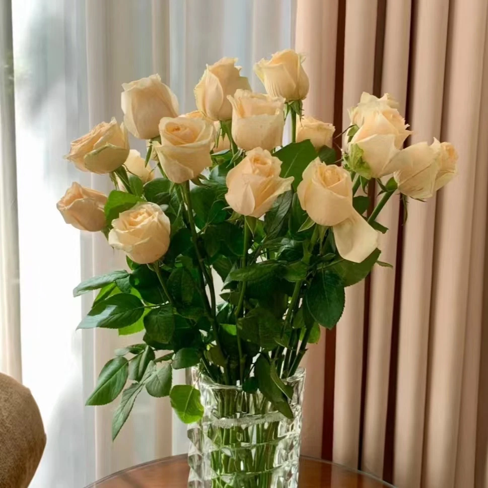 单头玫瑰鲜切鲜花家庭办公室内插花花束云南昆明基地直发