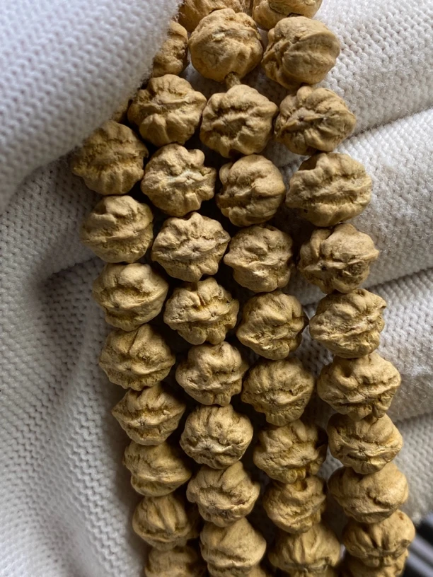 热振柏香籽「雪猿」黄油皮狂野帅气异形柏香横打108长串