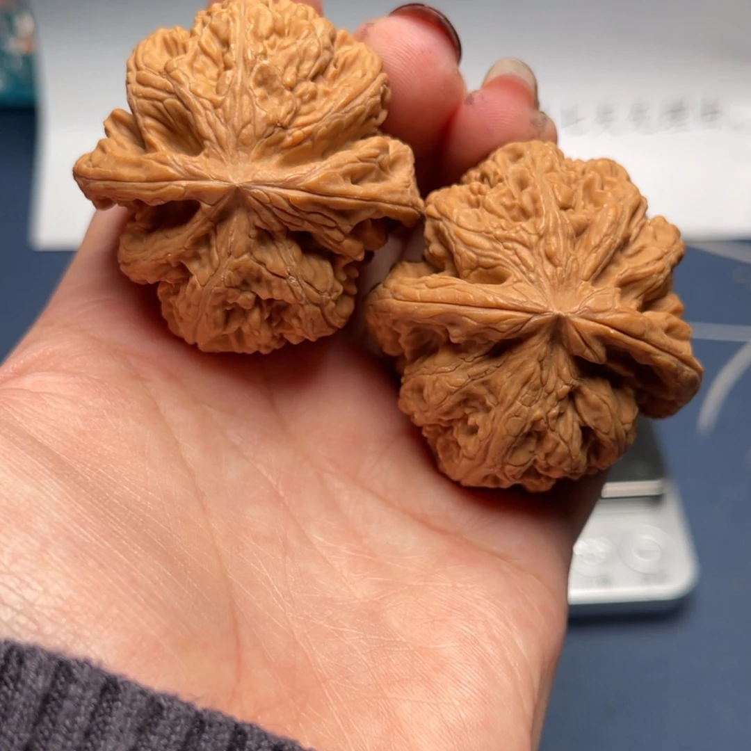 文玩核桃把件粗筋44