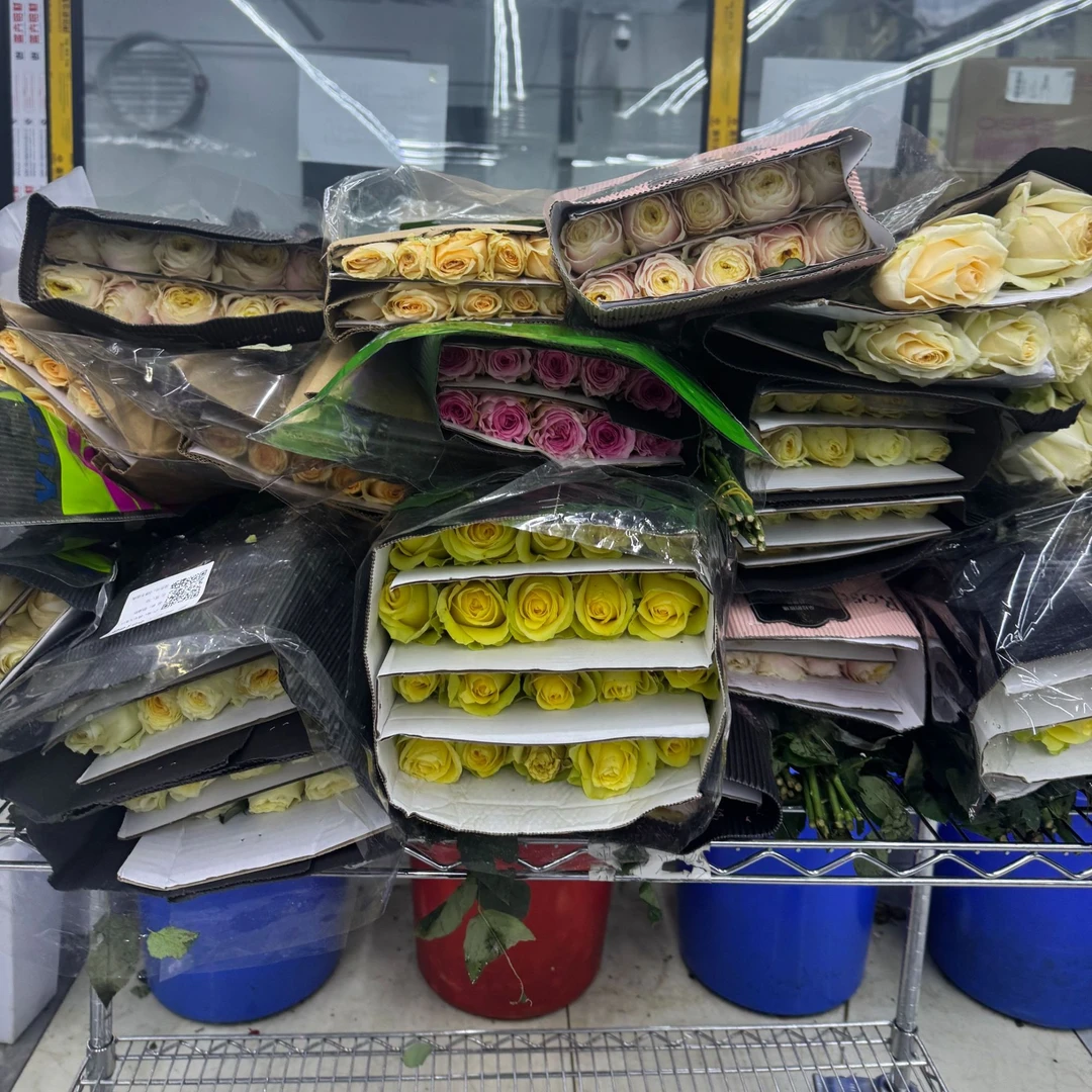 玫瑰盲盒20支鲜花速递